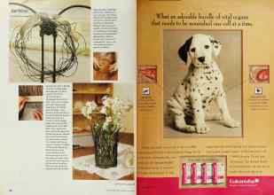 Better Homes & Gardens July 2001 Magazine Article: Page 34
