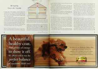 Better Homes & Gardens July 2001 Magazine Article: Bringing Cool Air Inside