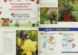 Better Homes & Gardens July 2001 Magazine Article: Everything is looking up