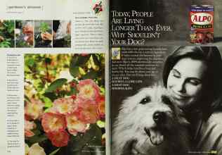 Better Homes & Gardens July 2001 Magazine Article: Page 112