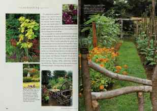 Better Homes & Gardens July 2001 Magazine Article: Page 144