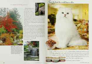 Better Homes & Gardens July 2001 Magazine Article: Page 146