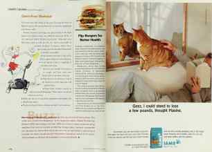 Better Homes & Gardens July 2001 Magazine Article: Page 212