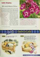 Better Homes & Gardens August 2001 Magazine Article: Mix-and March Phiox