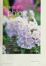 Better Homes & Gardens August 2001 Magazine Article: The best of phlox