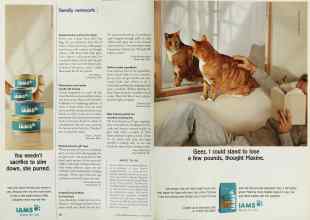 Better Homes & Gardens August 2001 Magazine Article: Page 18