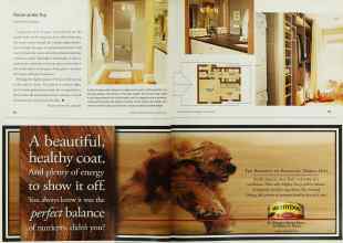 Better Homes & Gardens August 2001 Magazine Article: Page 62