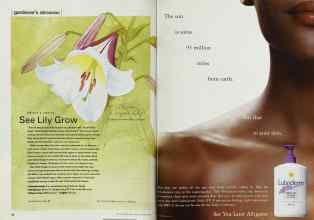 Better Homes & Gardens August 2001 Magazine Article: Page 86