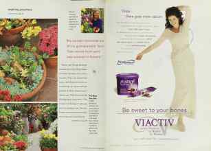 Better Homes & Gardens August 2001 Magazine Article: Page 96