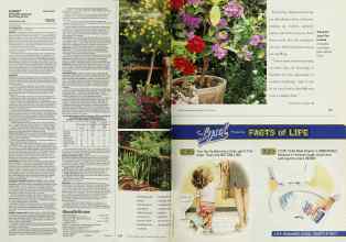 Better Homes & Gardens August 2001 Magazine Article: Page 100