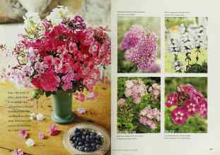 Better Homes & Gardens August 2001 Magazine Article: Page 108