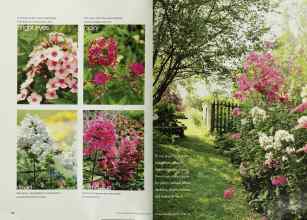 Better Homes & Gardens August 2001 Magazine Article: Page 112
