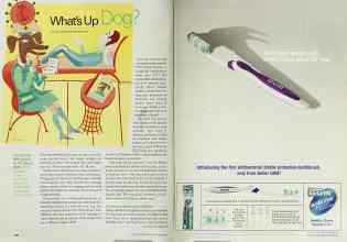 Better Homes & Gardens August 2001 Magazine Article: Page 192