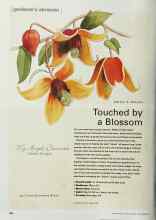 Better Homes & Gardens September 2001 Magazine Article: Touched by a Blossom