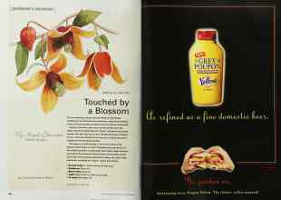 Better Homes & Gardens September 2001 Magazine Article: Page 148