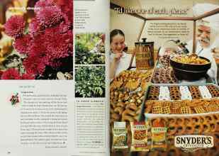 Better Homes & Gardens September 2001 Magazine Article: Page 154