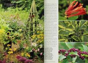 Better Homes & Gardens September 2001 Magazine Article: Page 158