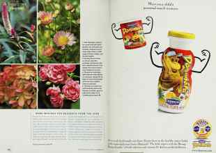 Better Homes & Gardens September 2001 Magazine Article: Page 162