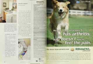 Better Homes & Gardens October 2001 Magazine Article: Page 80