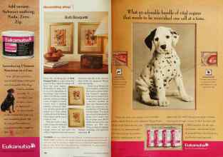 Better Homes & Gardens October 2001 Magazine Article: Page 106