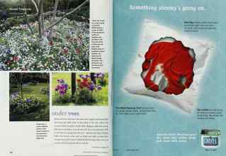 Better Homes & Gardens October 2001 Magazine Article: Page 140