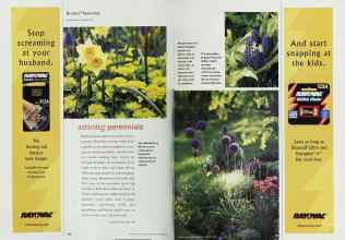 Better Homes & Gardens October 2001 Magazine Article: Page 142