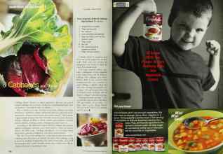 Better Homes & Gardens October 2001 Magazine Article: Page 226