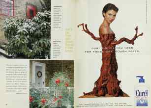 Better Homes & Gardens December 2001 Magazine Article: Page 34