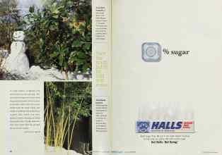 Better Homes & Gardens December 2001 Magazine Article: Page 36