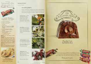 Better Homes & Gardens December 2001 Magazine Article: Page 38