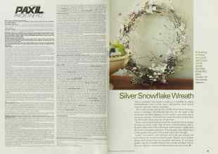 Better Homes & Gardens December 2001 Magazine Article: Page 84