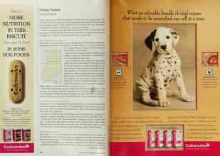 Better Homes & Gardens December 2001 Magazine Article: Page 152