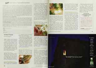 Better Homes & Gardens December 2001 Magazine Article: Page 156