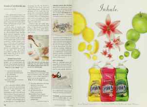 Better Homes & Gardens December 2001 Magazine Article: Page 182