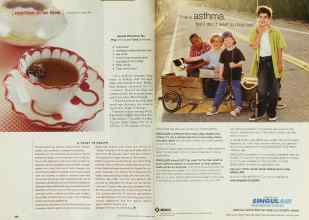 Better Homes & Gardens December 2001 Magazine Article: Page 200