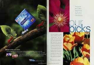 Better Homes & Gardens January 2002 Magazine Article: Page 50