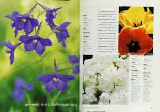 Better Homes & Gardens January 2002 Magazine Article: Page 52