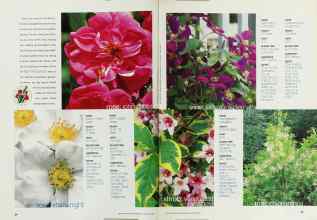 Better Homes & Gardens January 2002 Magazine Article: Page 54