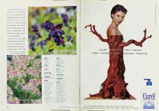 Better Homes & Gardens January 2002 Magazine Article: Page 56