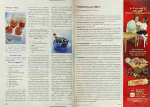 Better Homes & Gardens January 2002 Magazine Article: Page 100