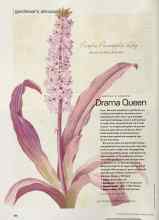 Better Homes & Gardens February 2002 Magazine Article: Editor's choice Drama Queen