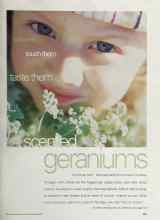 Better Homes & Gardens February 2002 Magazine Article: Scented geraniums