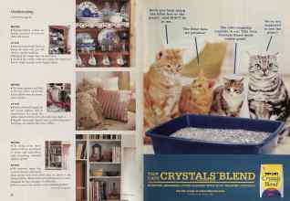 Better Homes & Gardens February 2002 Magazine Article: Page 24