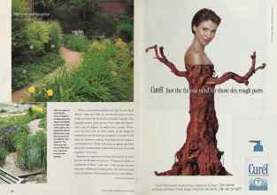 Better Homes & Gardens February 2002 Magazine Article: Page 62