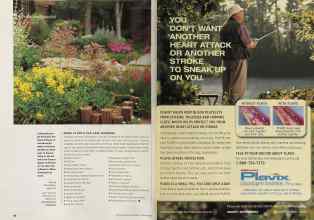 Better Homes & Gardens February 2002 Magazine Article: Page 66