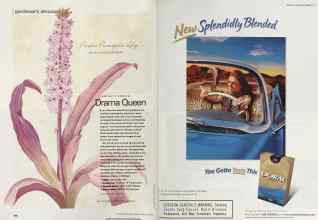 Better Homes & Gardens February 2002 Magazine Article: Page 106