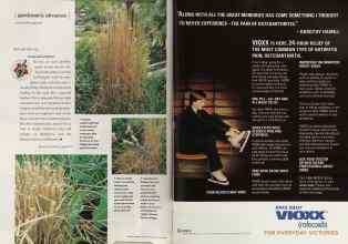 Better Homes & Gardens February 2002 Magazine Article: Page 110