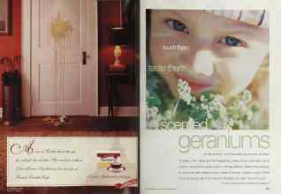 Better Homes & Gardens February 2002 Magazine Article: Page 114