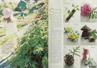 Better Homes & Gardens February 2002 Magazine Article: Page 116