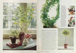 Better Homes & Gardens February 2002 Magazine Article: Page 120